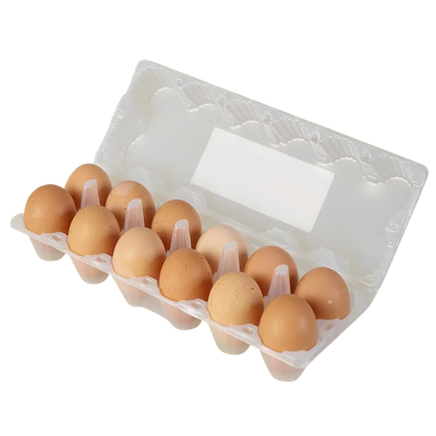 Bamboo Organic Egg